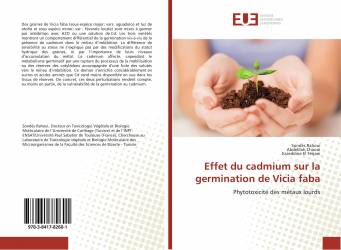 Effet du cadmium sur la germination de Vicia faba