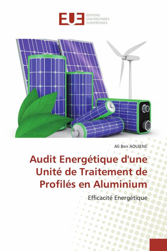 Audit Energétique d'une Unité de Traitement de Profilés en Aluminium