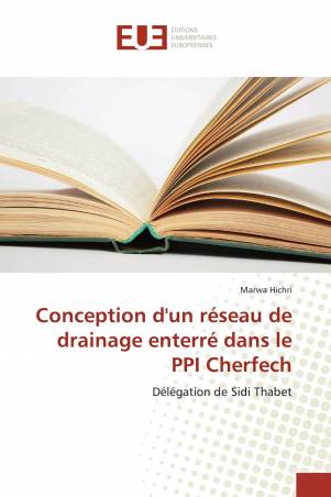 Conception d'un réseau de drainage enterré dans le PPI Cherfech