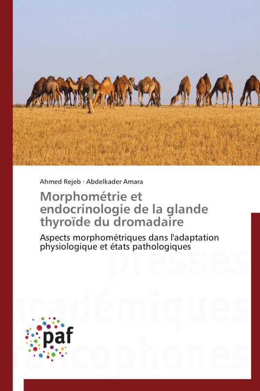 Morphométrie et endocrinologie de la glande thyroïde du dromadaire