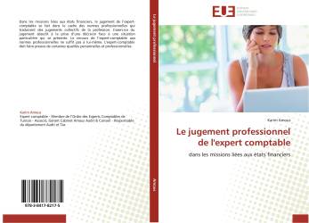 Le jugement professionnel de l'expert comptable