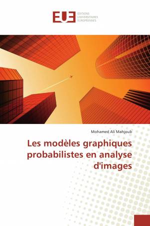 Les modèles graphiques probabilistes en analyse d'images
