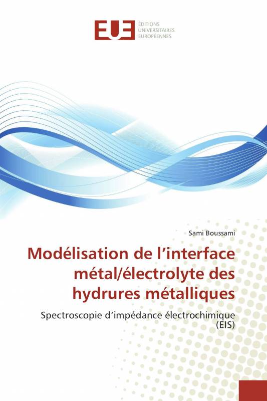Modélisation de l’interface métal/électrolyte des hydrures métalliques