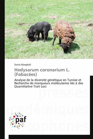 Hedysarum coronarium L. (Fabacées)