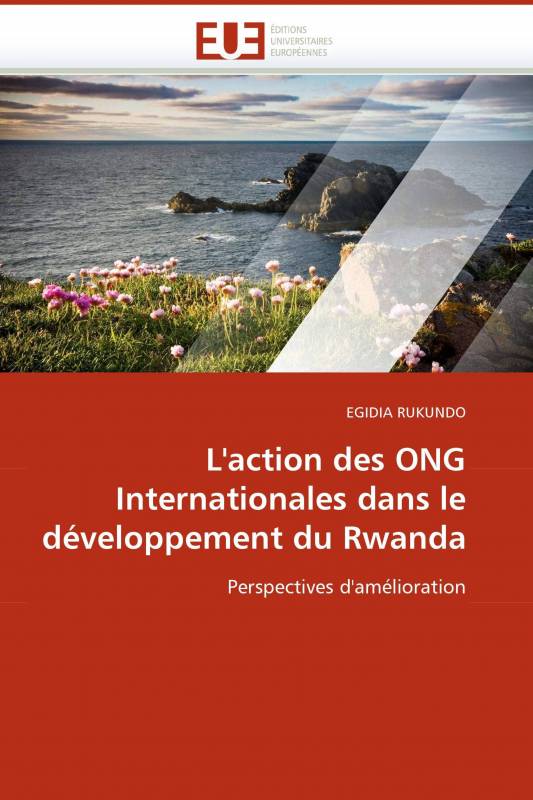 L'action des ONG Internationales dans le développement du Rwanda