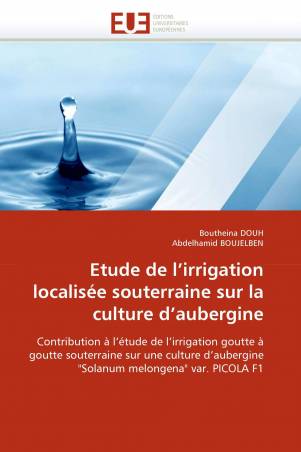 Etude de l&#039;irrigation localisée souterraine sur la culture d&#039;aubergine