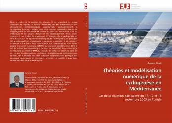 Théories et modélisation numérique de la cyclogenèse en Méditerranée