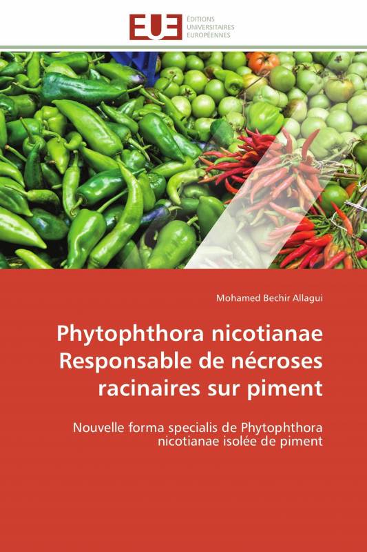 Phytophthora nicotianae Responsable de nécroses racinaires sur piment