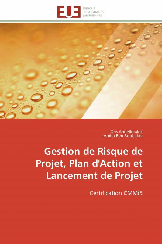 Gestion de Risque de Projet, Plan d'Action et Lancement de Projet