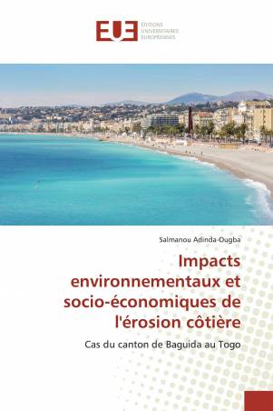 Impacts environnementaux et socio-économiques de l'érosion côtière