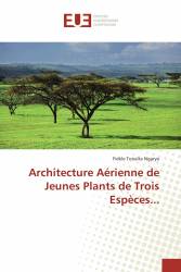 Architecture Aérienne de Jeunes Plants de Trois Espèces...