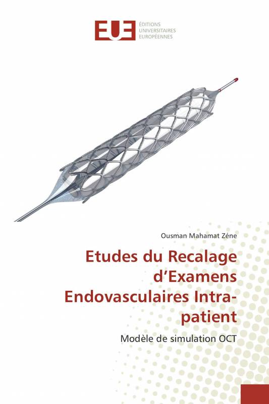 Etudes du Recalage d’Examens Endovasculaires Intra-patient