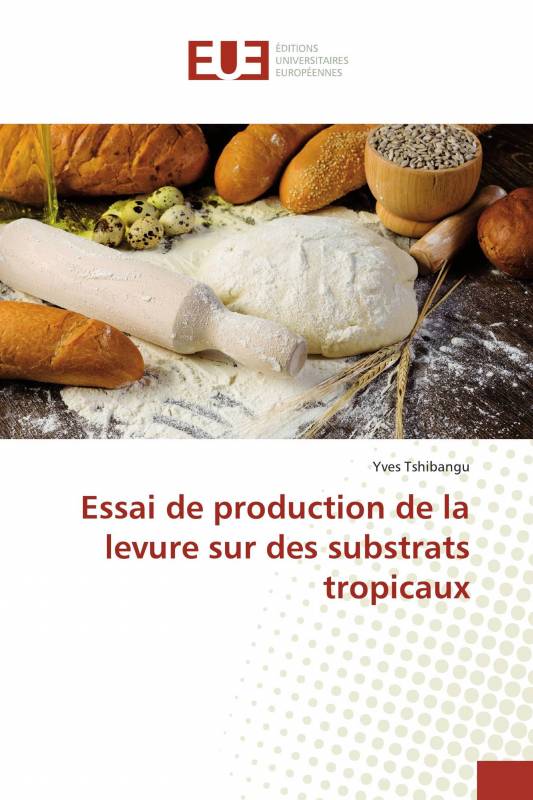 Essai de production de la levure sur des substrats tropicaux