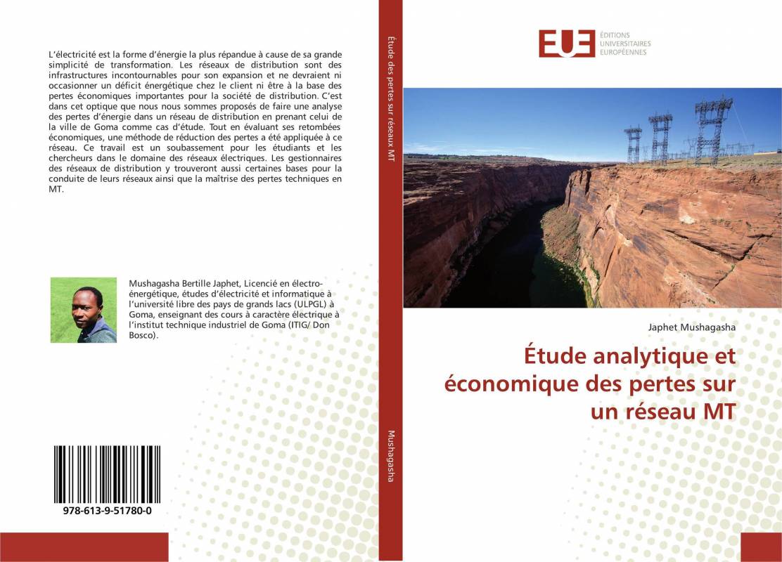 Étude analytique et économique des pertes sur un réseau MT