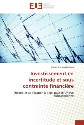 Investissement en incertitude et sous contrainte financière