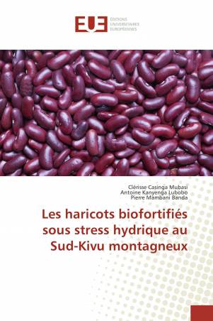 Les haricots biofortifiés sous stress hydrique au Sud-Kivu montagneux