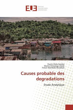 Causes probable des degradations