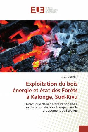 Exploitation du bois énergie et état des Forêts à Kalonge, Sud-Kivu