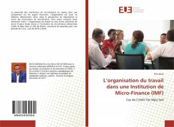 L’organisation du travail dans une Institution de Micro-Finance (IMF)