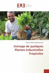 Usinage de quelques Plantes Industrielles Tropicales