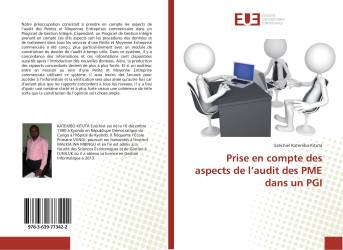 Prise en compte des aspects de l’audit des PME dans un PGI