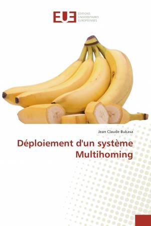 Déploiement d'un système Multihoming