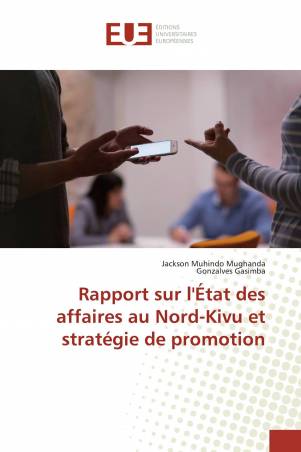 Rapport sur l'État des affaires au Nord-Kivu et stratégie de promotion