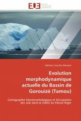 Evolution morphodynamique actuelle du Bassin de Gorouizé (Tamou)