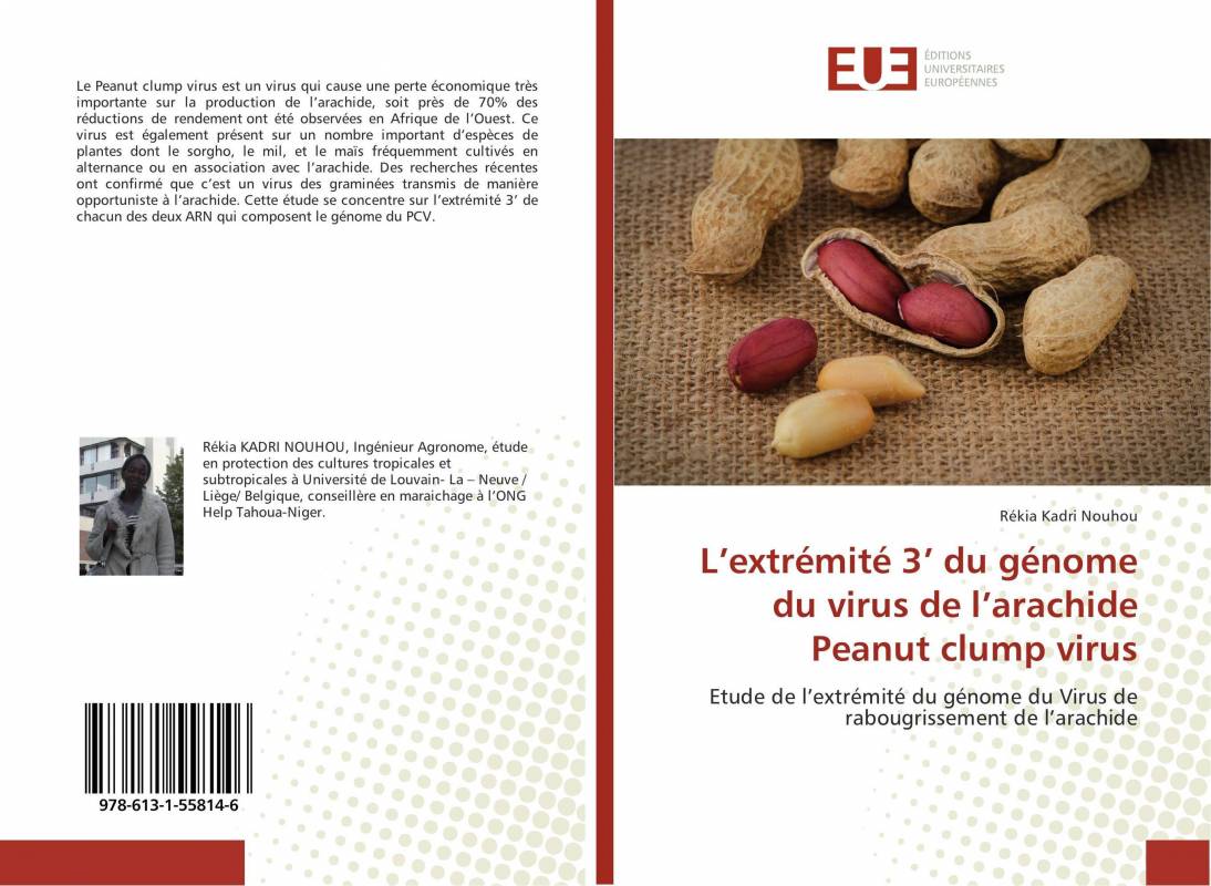 L’extrémité 3’ du génome du virus de l’arachide Peanut clump virus