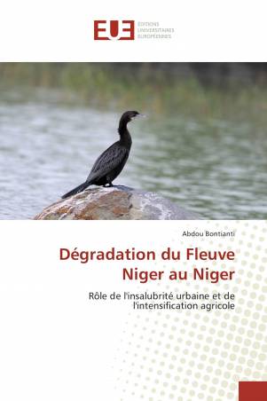 Dégradation du Fleuve Niger au Niger