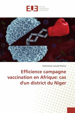 Efficience campagne vaccination en Afrique: cas d&#039;un district du Niger