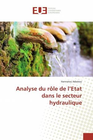 Analyse du rôle de l’Etat dans le secteur hydraulique