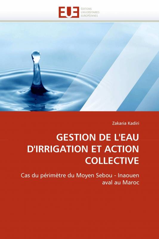 GESTION DE L'EAU D'IRRIGATION ET ACTION COLLECTIVE