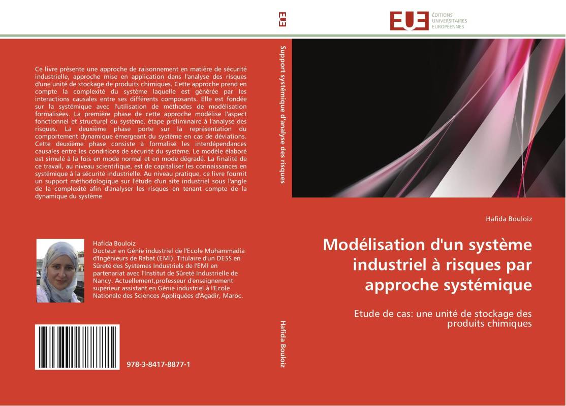 Modélisation d'un système industriel à risques par approche systémique