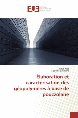 Élaboration et caractérisation des géopolymères à base de pouzzolane