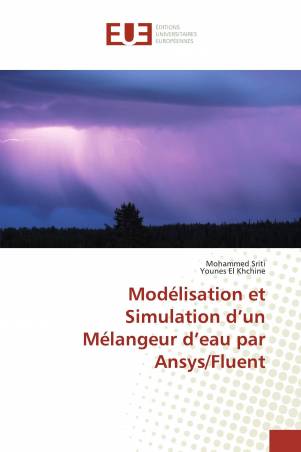Modélisation et Simulation d’un Mélangeur d’eau par Ansys/Fluent