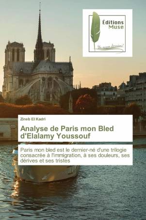 Analyse de Paris mon Bled d'Elalamy Youssouf