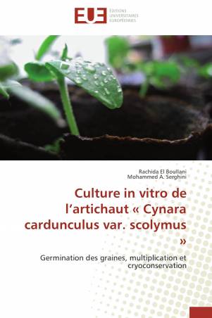 Culture in vitro de l’artichaut  « Cynara cardunculus var. scolymus »