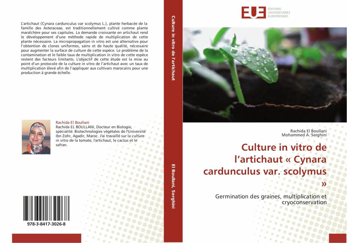 Culture in vitro de l’artichaut  « Cynara cardunculus var. scolymus »