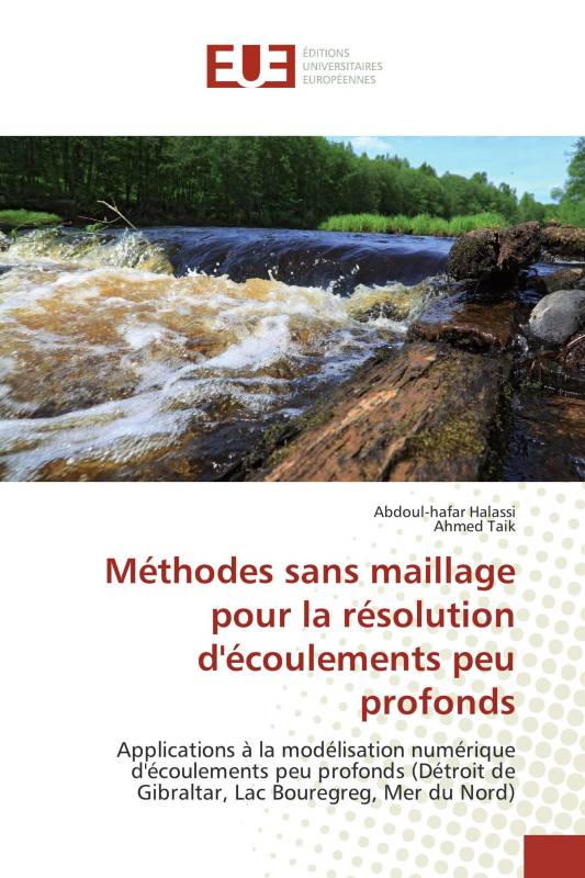 Méthodes sans maillage pour la résolution d'écoulements peu profonds