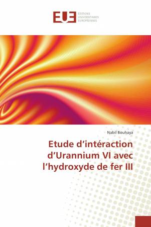 Etude d’intéraction d’Urannium VI avec l’hydroxyde de fer III