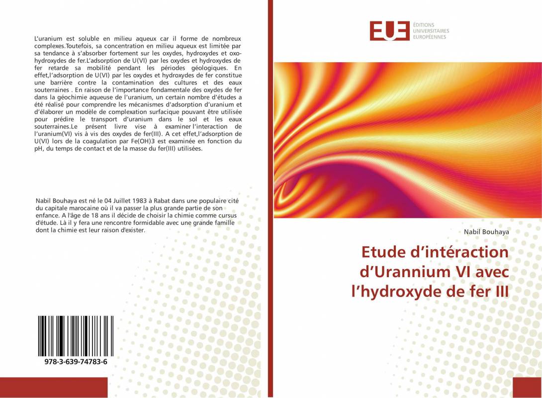 Etude d’intéraction d’Urannium VI avec l’hydroxyde de fer III