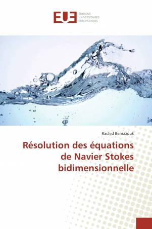 Résolution des équations de Navier Stokes bidimensionnelle