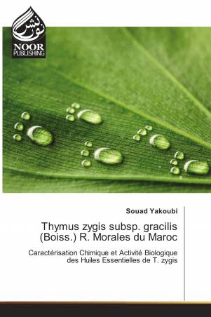 Thymus zygis subsp. gracilis (Boiss.) R. Morales du Maroc
