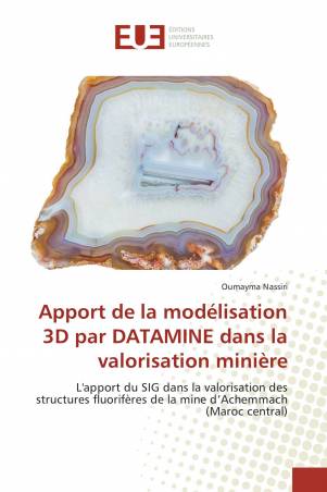 Apport de la modélisation 3D par DATAMINE dans la valorisation minière