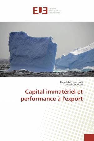 Capital immatériel et performance à l'export