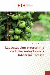 Les bases d'un programme de lutte contre Bemisia Tabaci sur Tomate