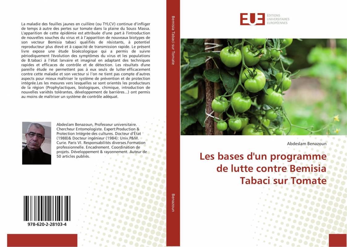 Les bases d'un programme de lutte contre Bemisia Tabaci sur Tomate