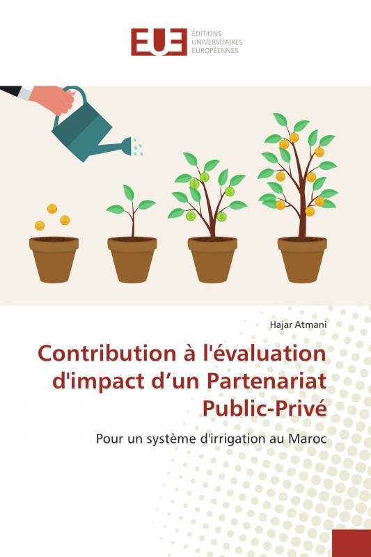 Contribution à l'évaluation d'impact d’un Partenariat Public-Privé