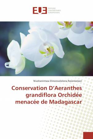 Conservation D’Aeranthes grandiflora Orchidée menacée de Madagascar